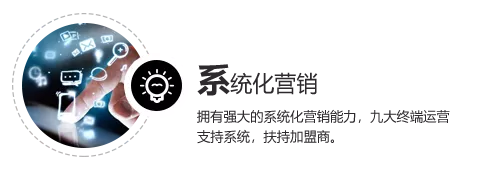 系统化营销，拥有强大的系统化营销能力，九大终端运营支持系统，扶持加盟商